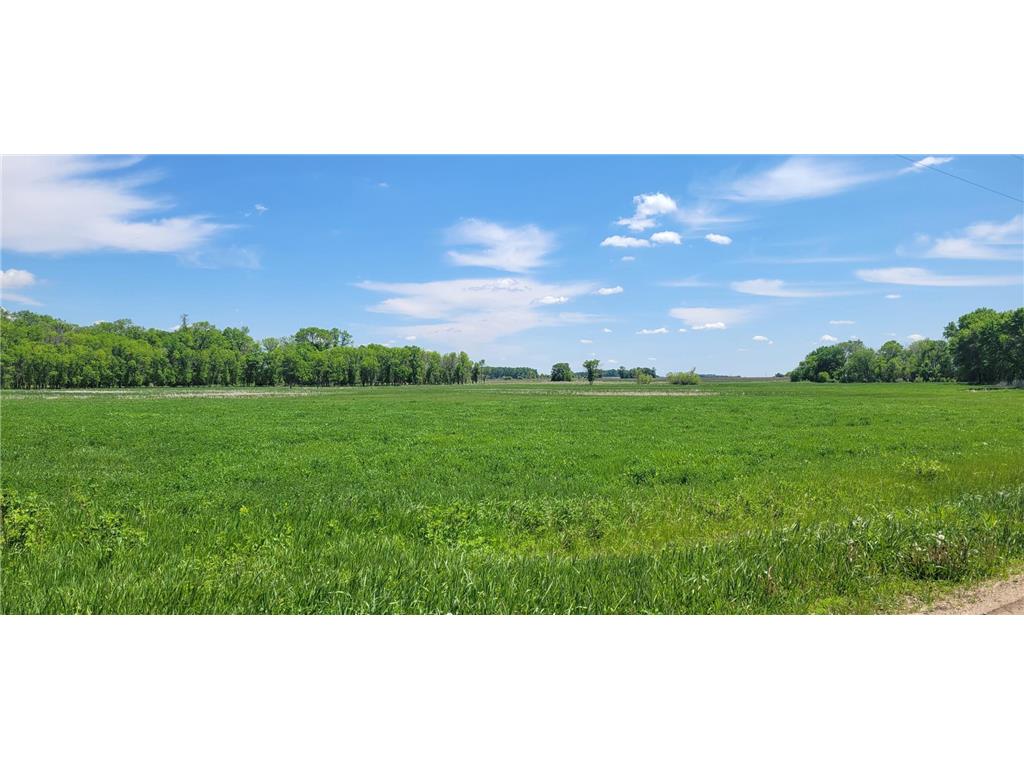 XXX 455th Avenue New Auburn Twp MN 55307 6821685 image1