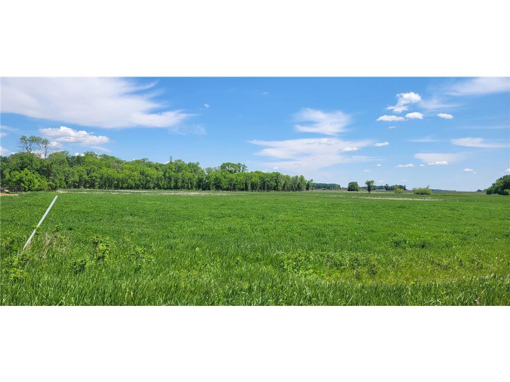 XXX 455th Avenue New Auburn Twp MN 55307 6821685 image2