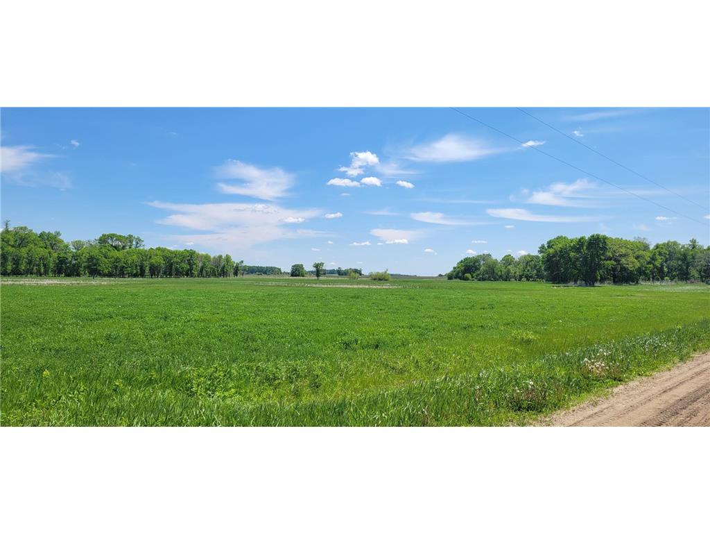 XXX 455th Avenue New Auburn Twp MN 55307 6821685 image3