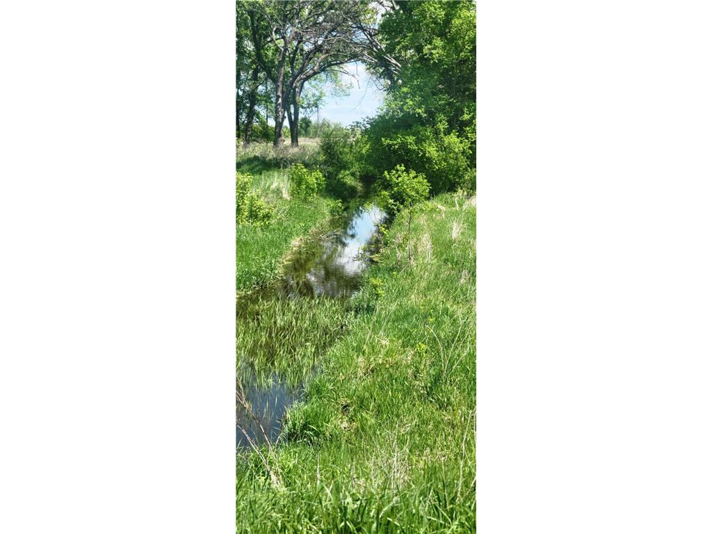 XXX 455th Avenue New Auburn Twp MN 55307 6821685 image4