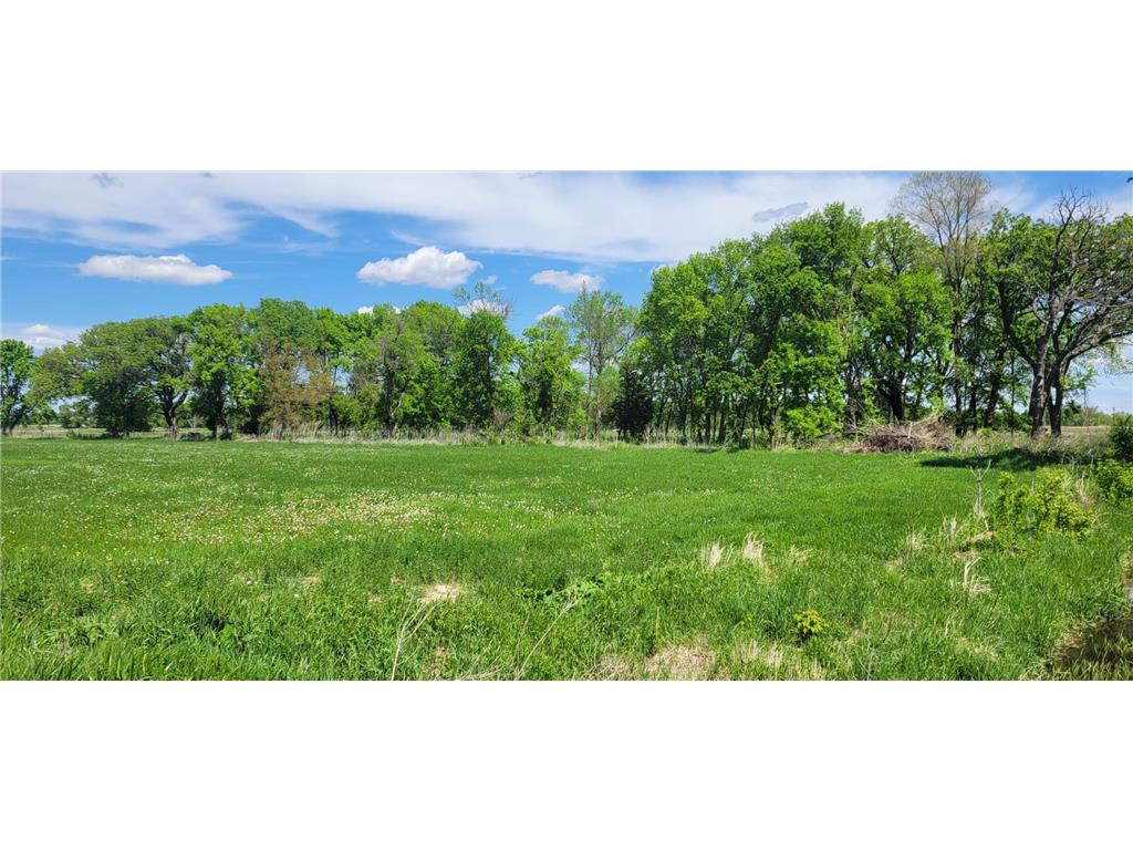 XXX 455th Avenue New Auburn Twp MN 55307 6821685 image5