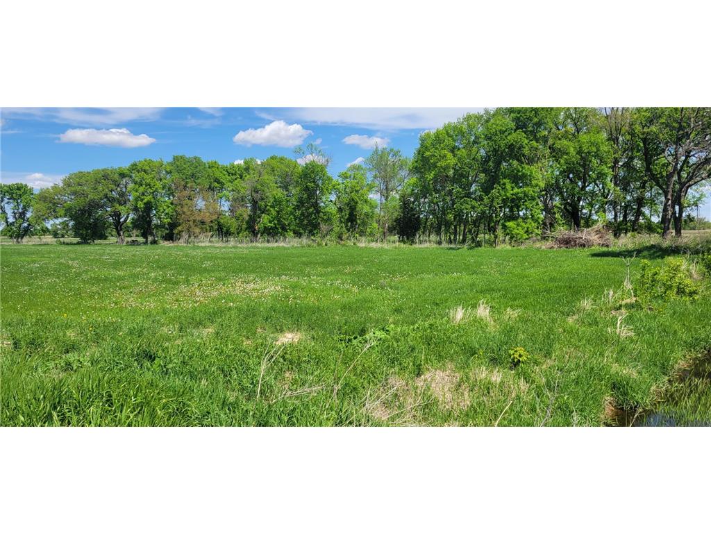 XXX 455th Avenue New Auburn Twp MN 55307 6821685 image6