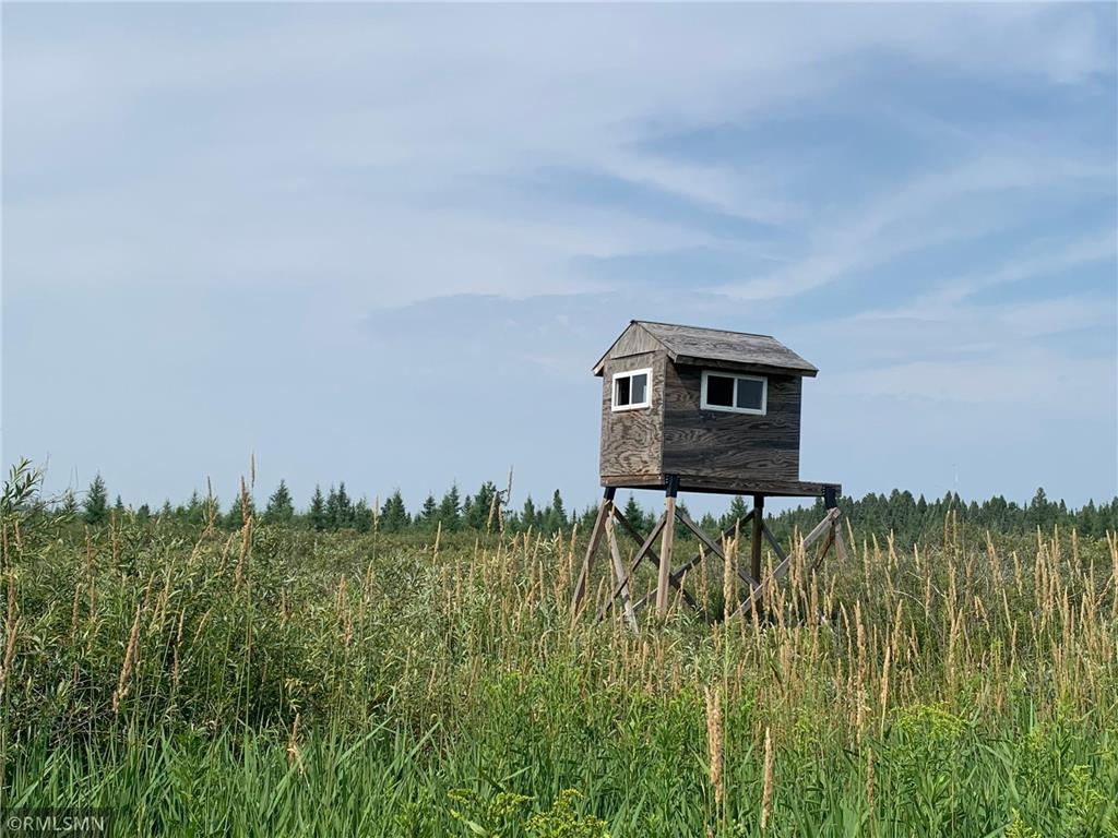 XXX 460th Lane Palisade MN 56469 6407903 image1