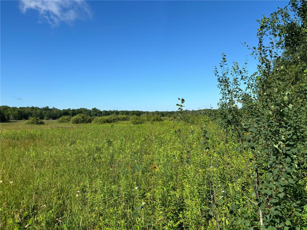 XXX 470th Street Palisade MN 56469 6645633 image1