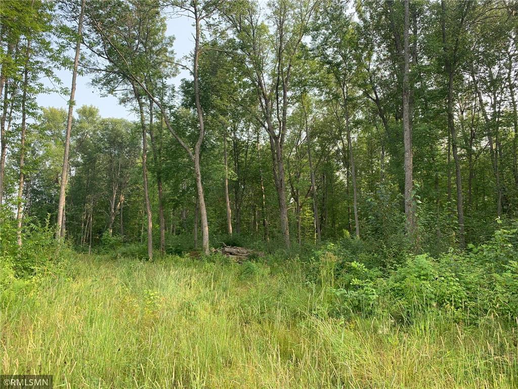 XXX 480th Street, McGregor, MN 55760 MLS 6407374 Edina Realty