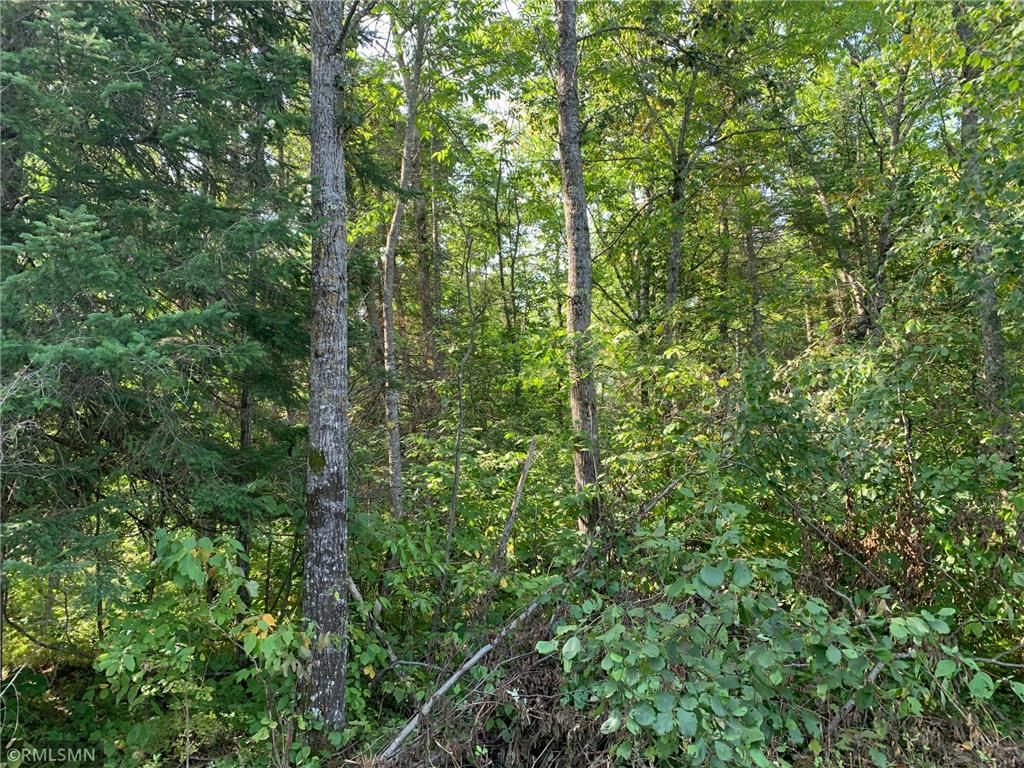 XXX 500th Lane Tamarack MN 55787 6427850 image1