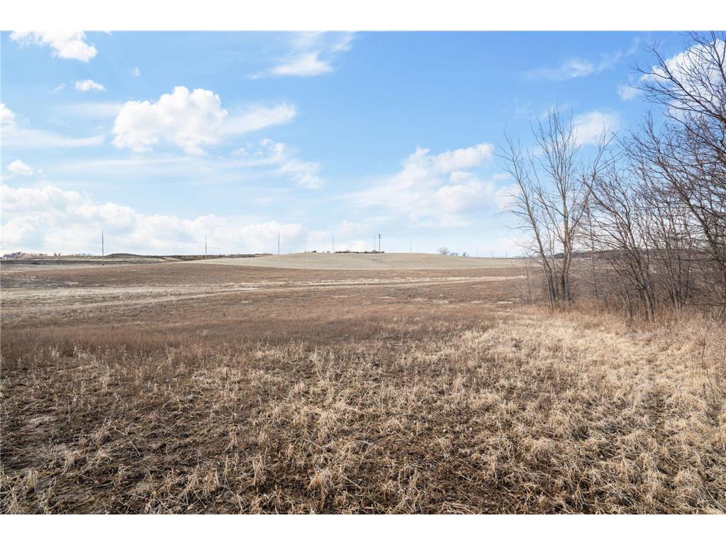 XXX 50th Avenue NW Rochester MN 55901 6673615 image41