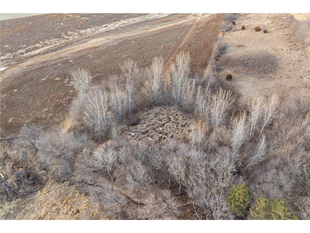 XXX 50th Avenue NW Rochester MN 55901 6673615 image44