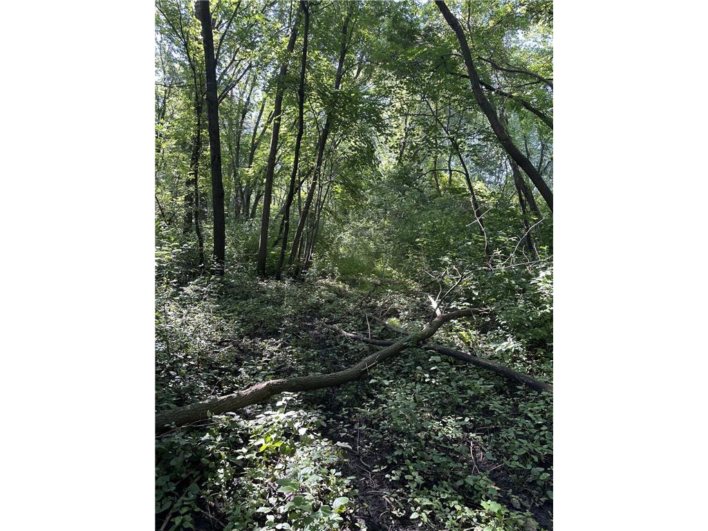 XXX 50th Street SE Franklin Twp MN 55313 6823125 image1