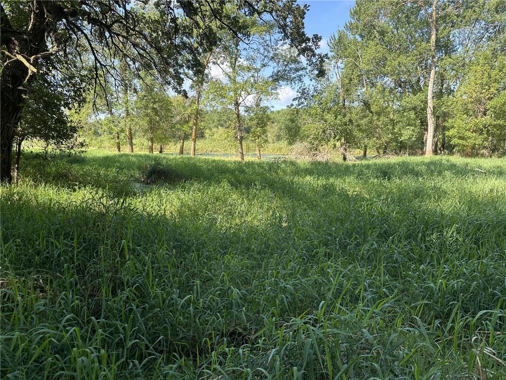 XXX 50th Street SE Franklin Twp MN 55313 6823125 image3