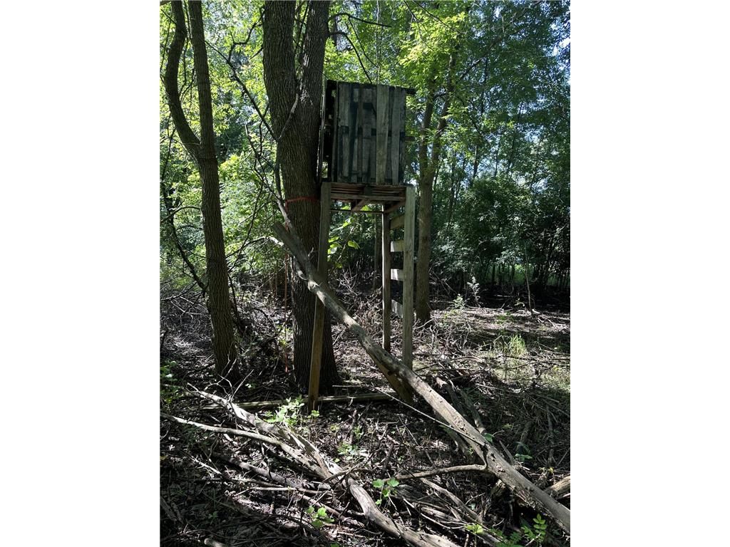 XXX 50th Street SE Franklin Twp MN 55313 6823125 image4