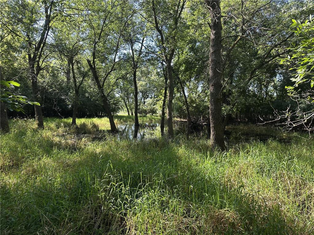 XXX 50th Street SE Franklin Twp MN 55313 6823125 image6