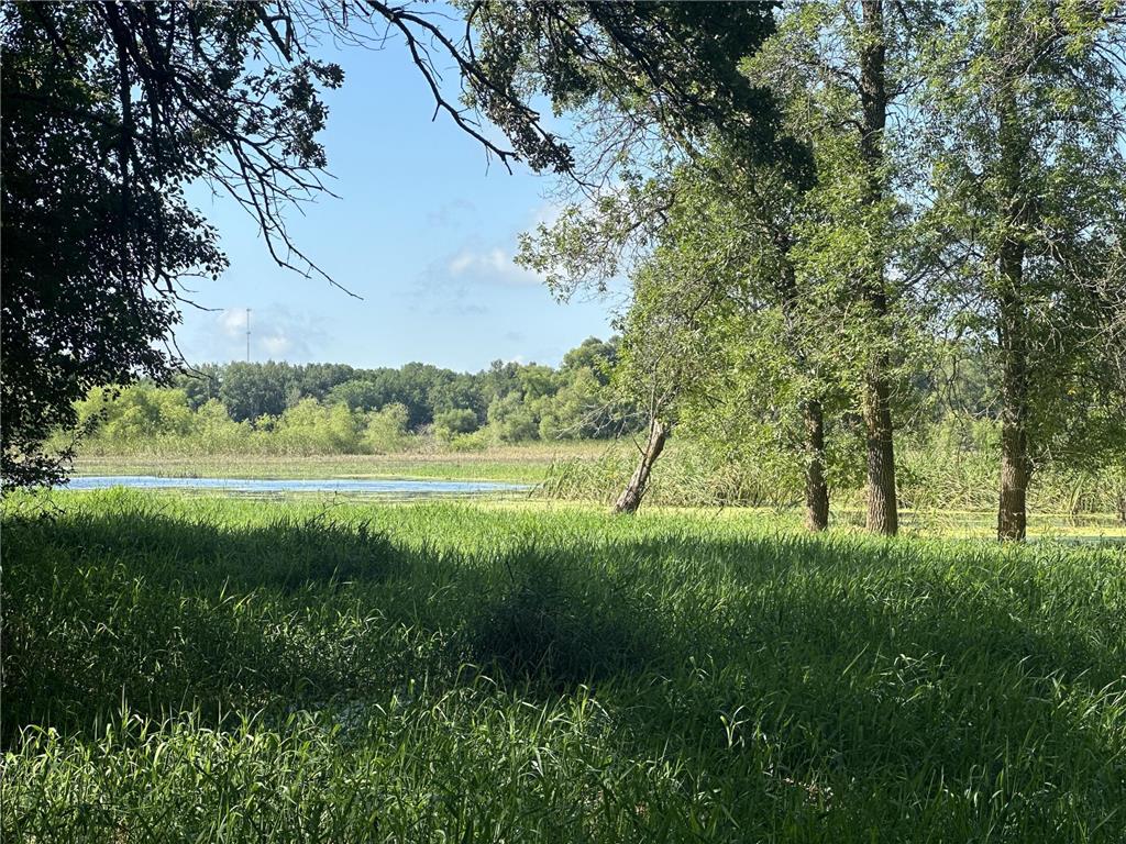 XXX 50th Street SE Franklin Twp MN 55313 6823125 image7