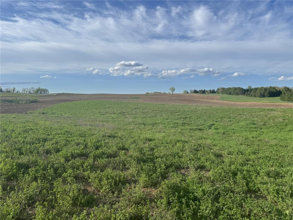 XXX 50th Street Somerset WI 54025 - Pine Lake 6535165 image1