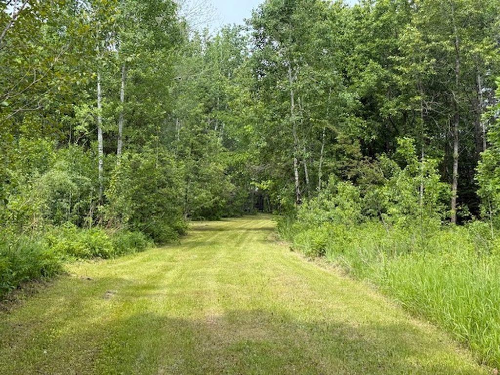 XXX 515th Avenue and 115th Street Menahga MN 56464 6771186 image1