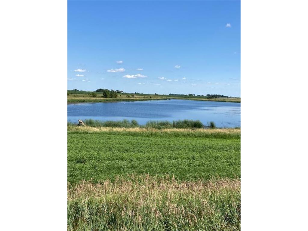 XXX 540th Avenue Alberta MN 56207 6398588 image1