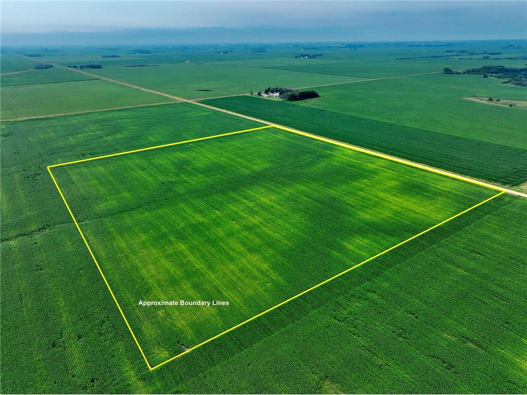 XXX 560TH Avenue Selma Twp MN 56019 6569656 image1