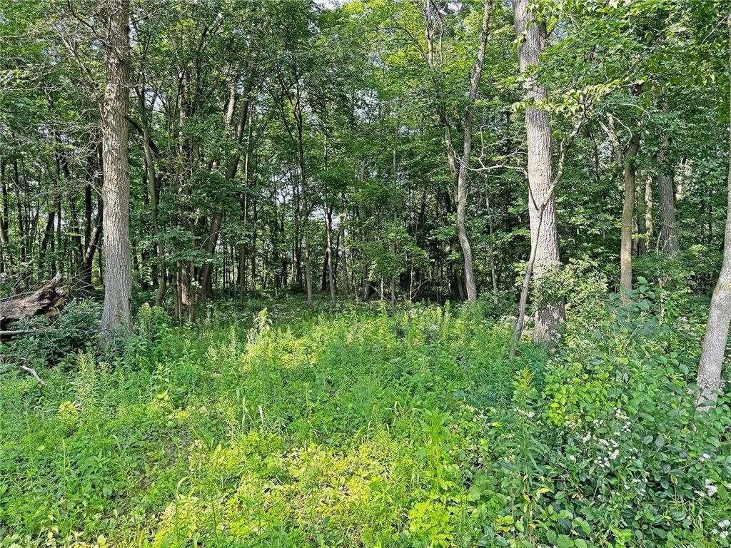 XXX 57th Avenue Osceola WI 54020 6589617 image1