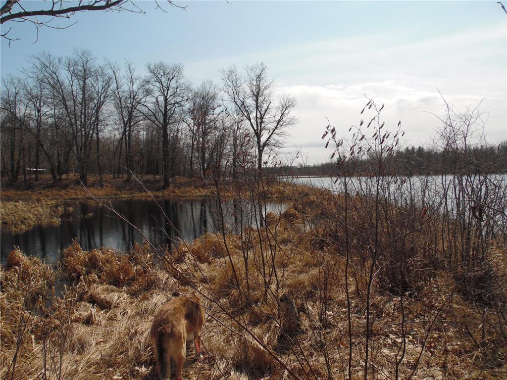 XXX 57th Street Mckinley Twp WI 54829 - Bass Lake 7043573 image26