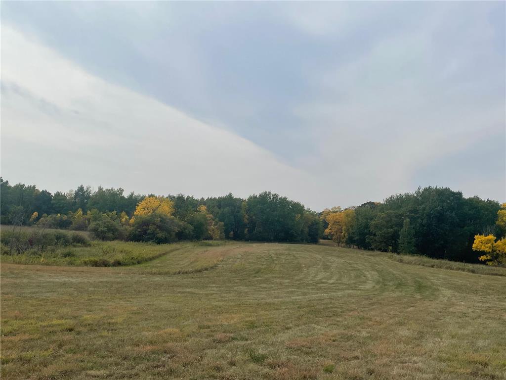 XXX 580th Avenue Parkers Prairie MN 56361 6551104 image1