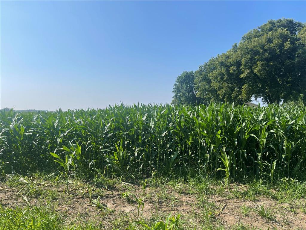 XXX 590th Hartland Twp WI 54723 6654170 image1