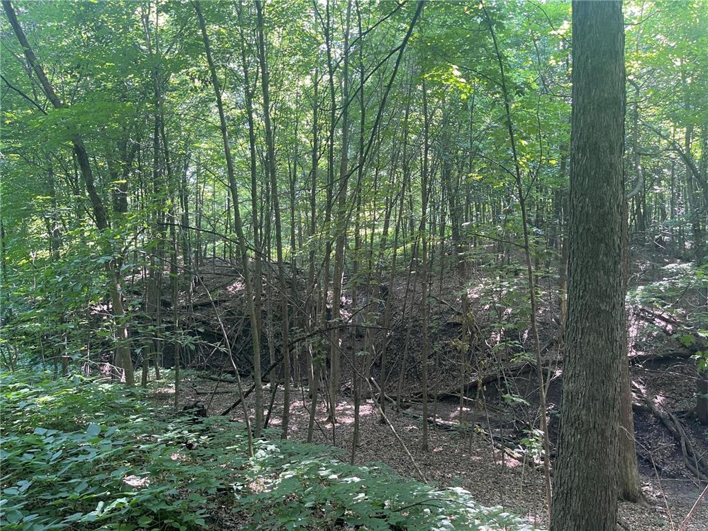 XXX 590th Hartland Twp WI 54723 6654170 image10