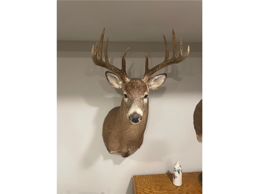 XXX 590th Hartland Twp WI 54723 6654170 image12