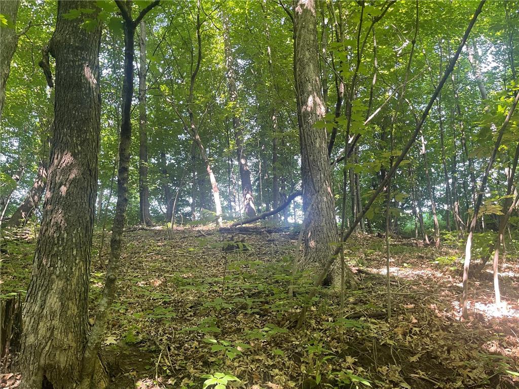 XXX 590th Hartland Twp WI 54723 6654170 image13