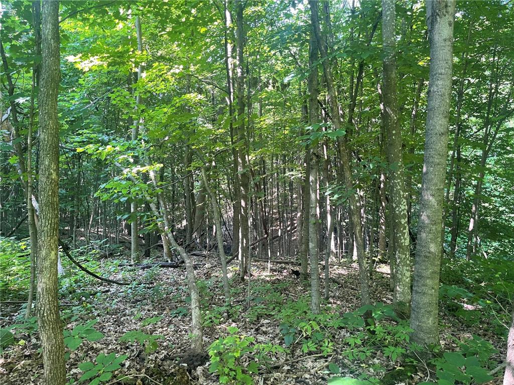 XXX 590th Hartland Twp WI 54723 6654170 image14