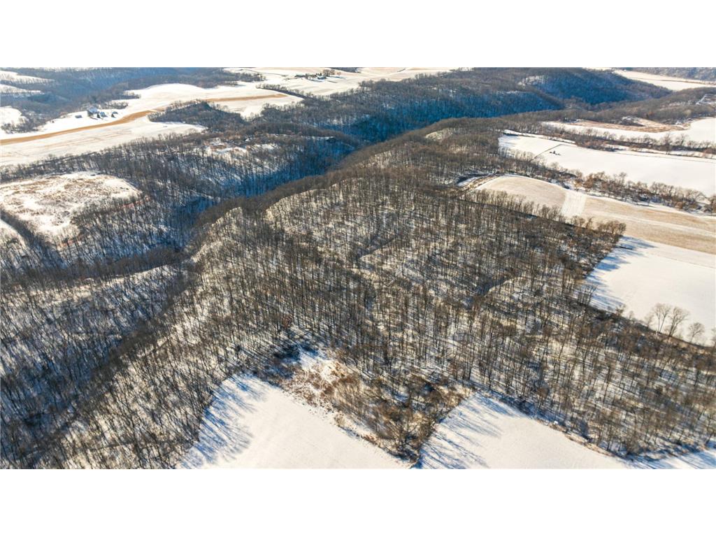 XXX 590th Hartland Twp WI 54723 6654170 image16