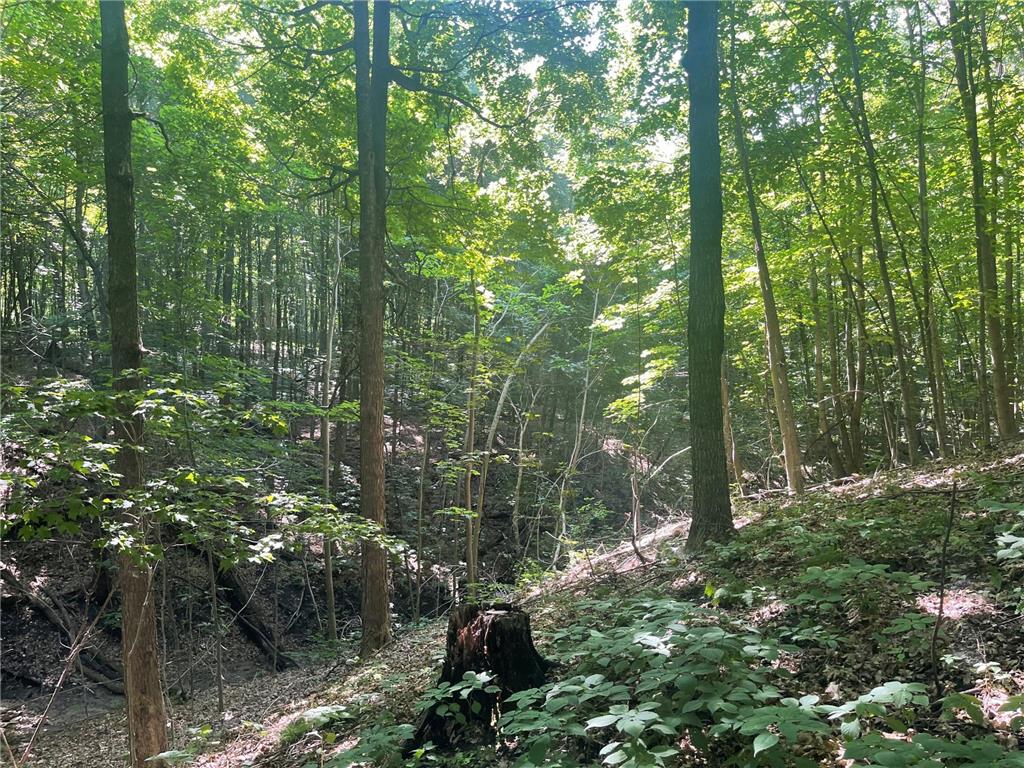 XXX 590th Hartland Twp WI 54723 6654170 image17