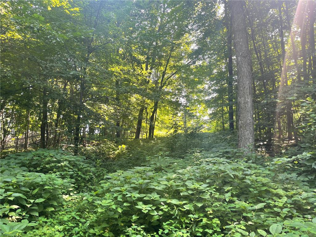 XXX 590th Hartland Twp WI 54723 6654170 image18