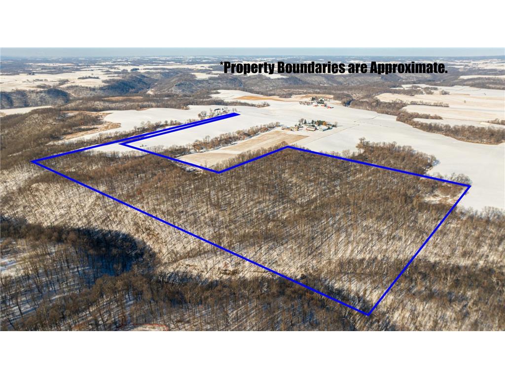 XXX 590th Hartland Twp WI 54723 6654170 image2