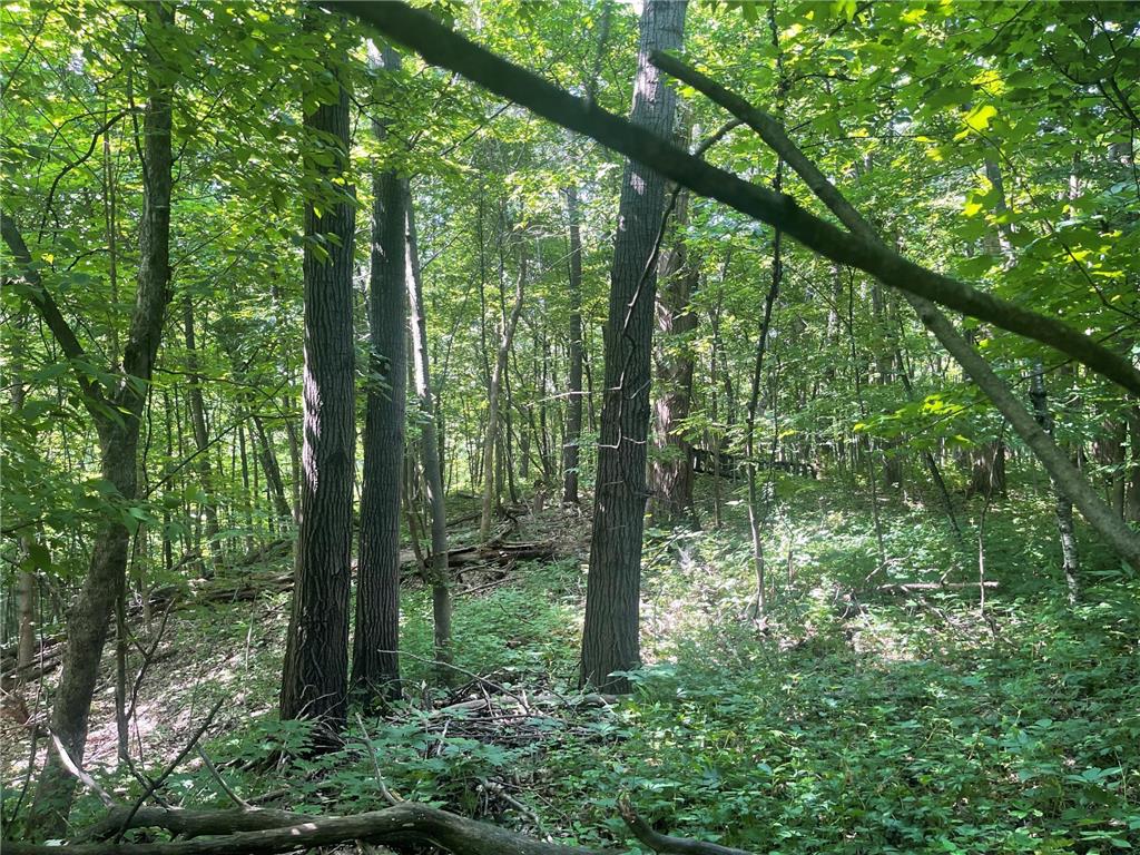 XXX 590th Hartland Twp WI 54723 6654170 image22