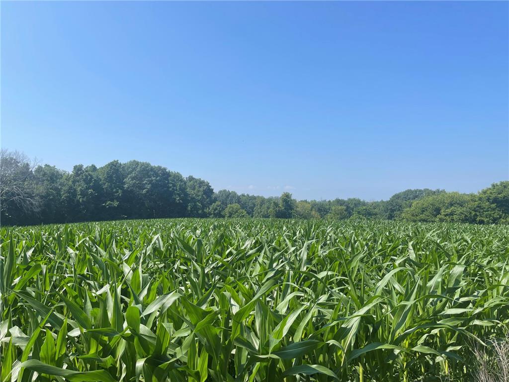 XXX 590th Hartland Twp WI 54723 6654170 image23