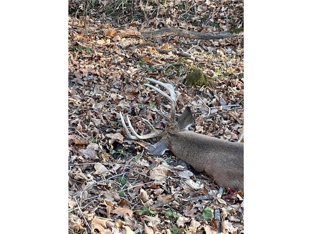 XXX 590th Hartland Twp WI 54723 6654170 image24