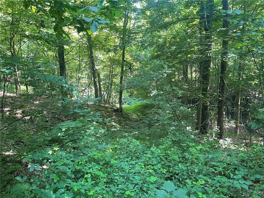 XXX 590th Hartland Twp WI 54723 6654170 image27