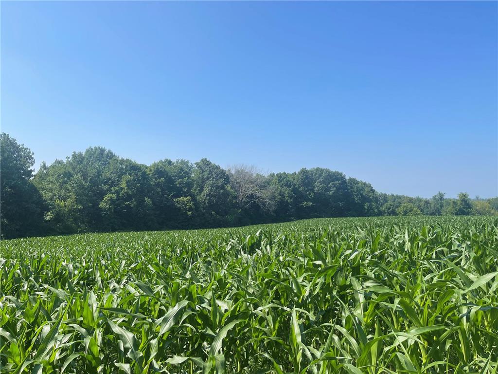 XXX 590th Hartland Twp WI 54723 6654170 image28