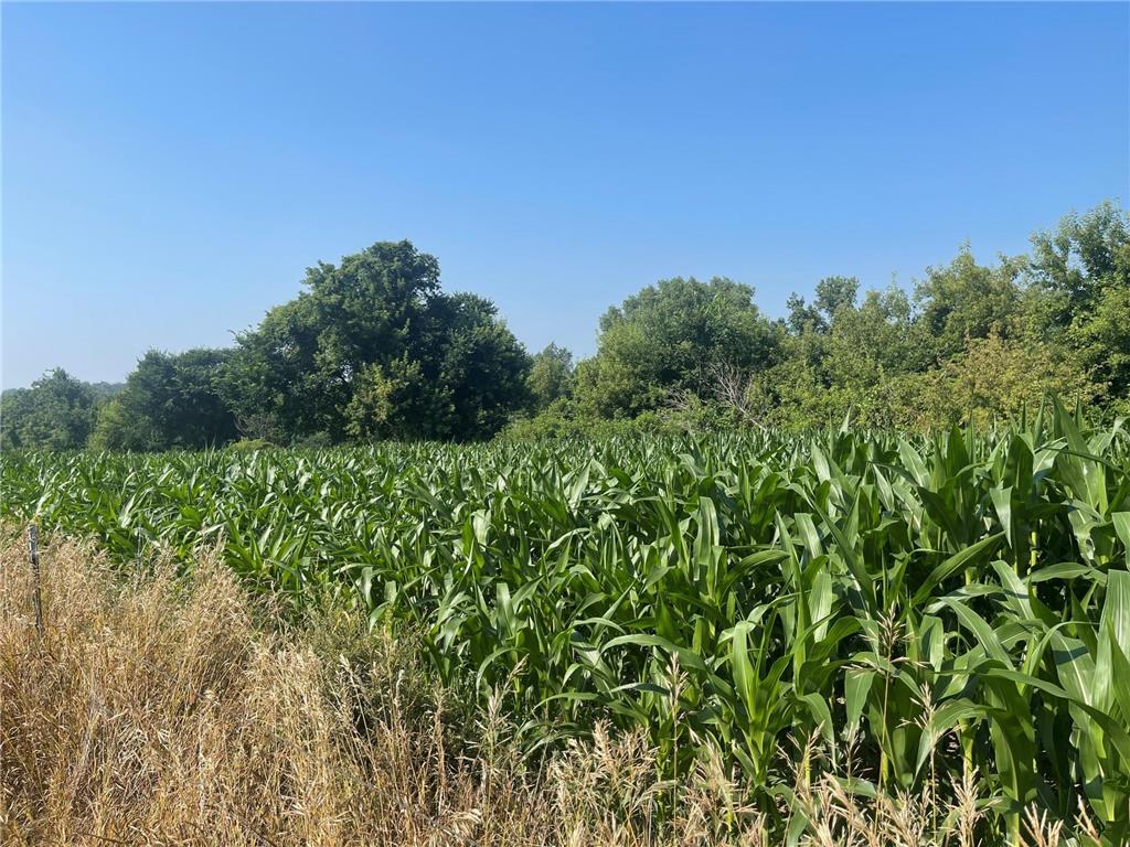 XXX 590th Hartland Twp WI 54723 6654170 image29