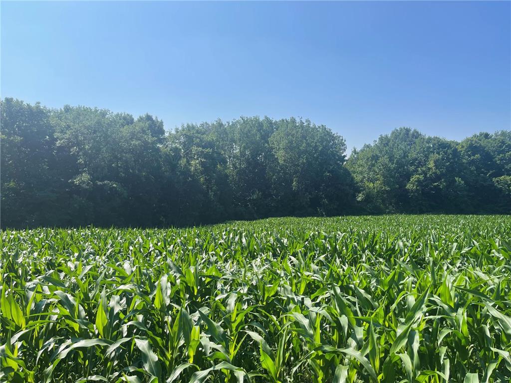 XXX 590th Hartland Twp WI 54723 6654170 image3