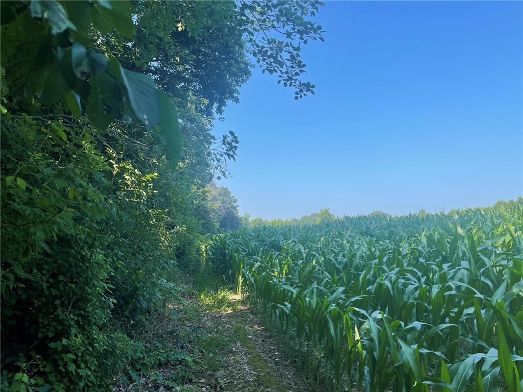 XXX 590th Hartland Twp WI 54723 6654170 image30