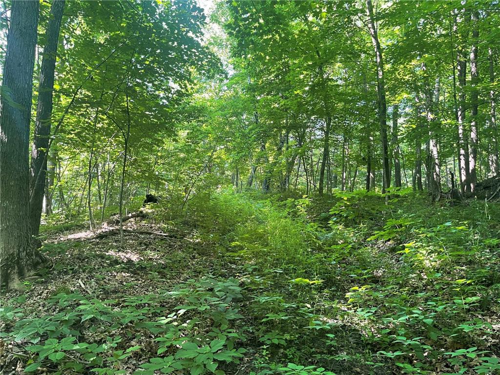 XXX 590th Hartland Twp WI 54723 6654170 image31