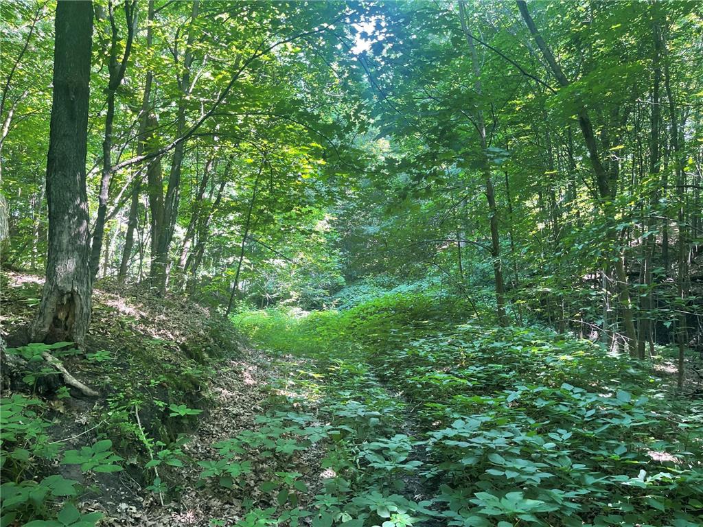 XXX 590th Hartland Twp WI 54723 6654170 image32