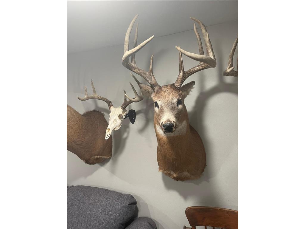 XXX 590th Hartland Twp WI 54723 6654170 image4