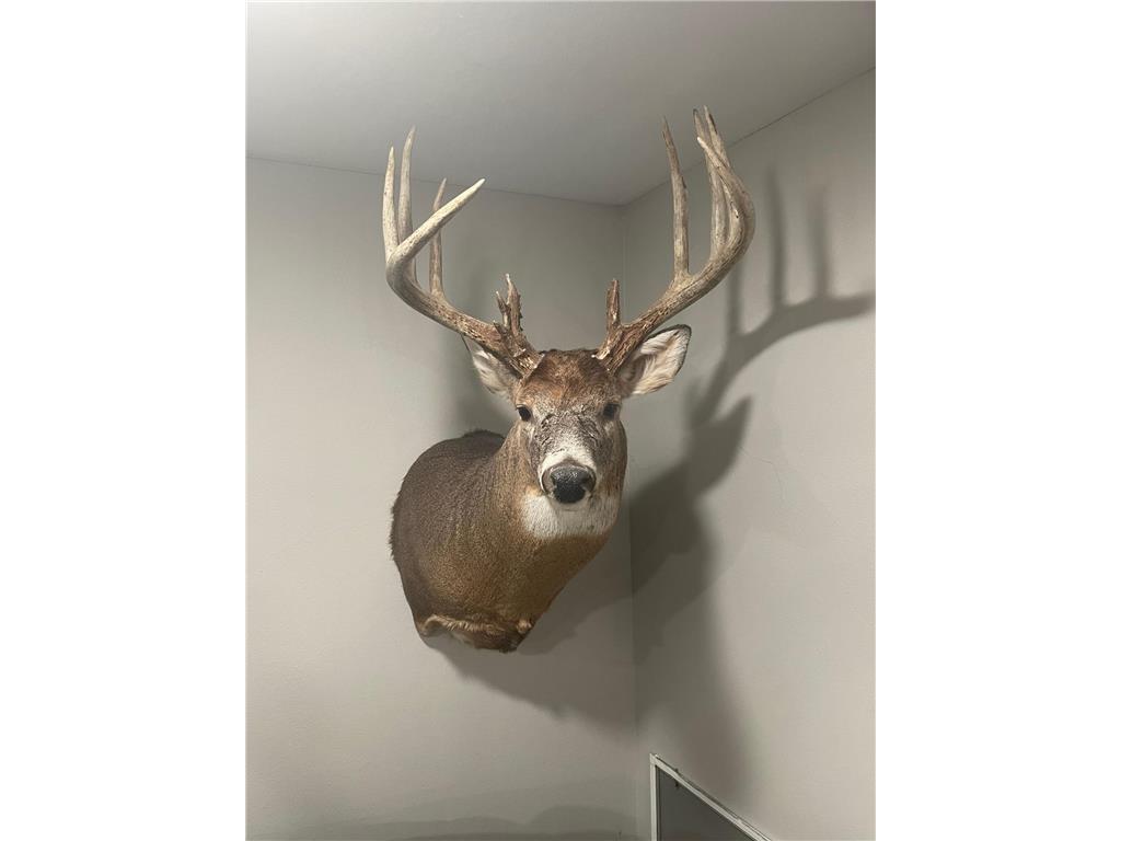 XXX 590th Hartland Twp WI 54723 6654170 image5