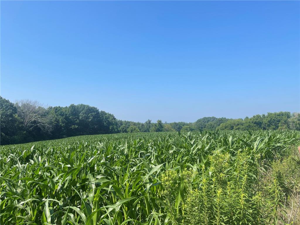 XXX 590th Hartland Twp WI 54723 6654170 image6