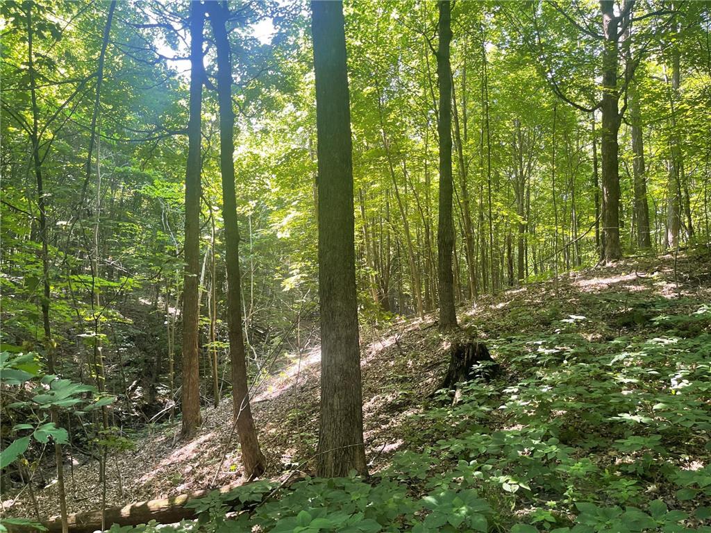 XXX 590th Hartland Twp WI 54723 6654170 image8