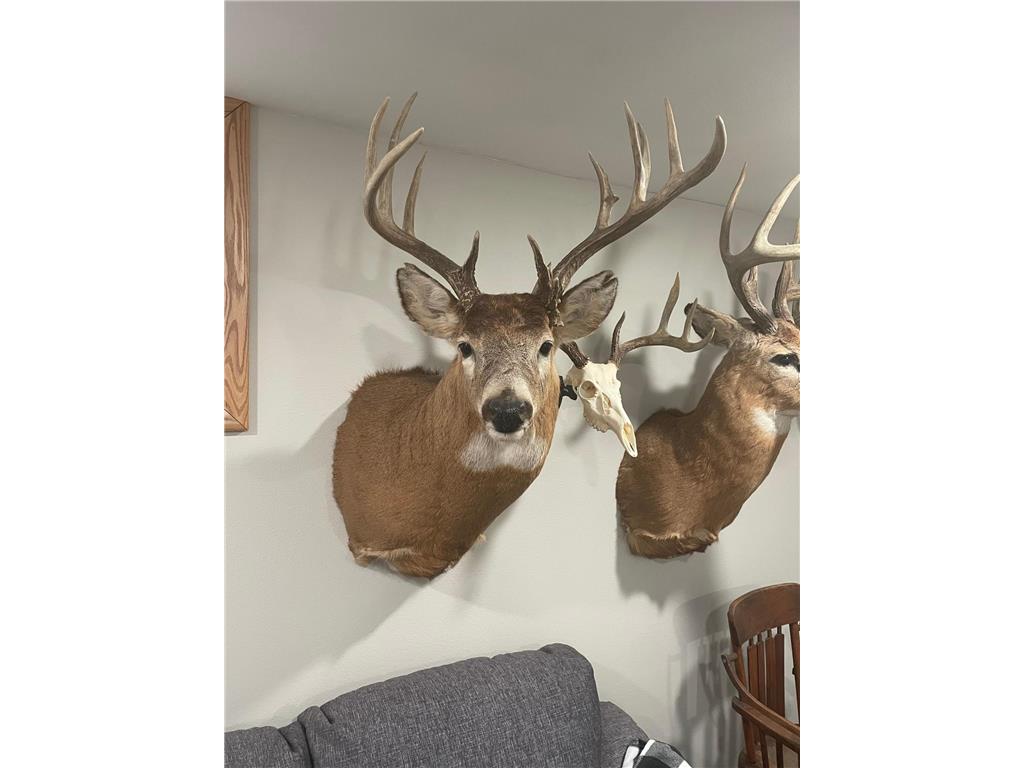 XXX 590th Hartland Twp WI 54723 6654170 image9