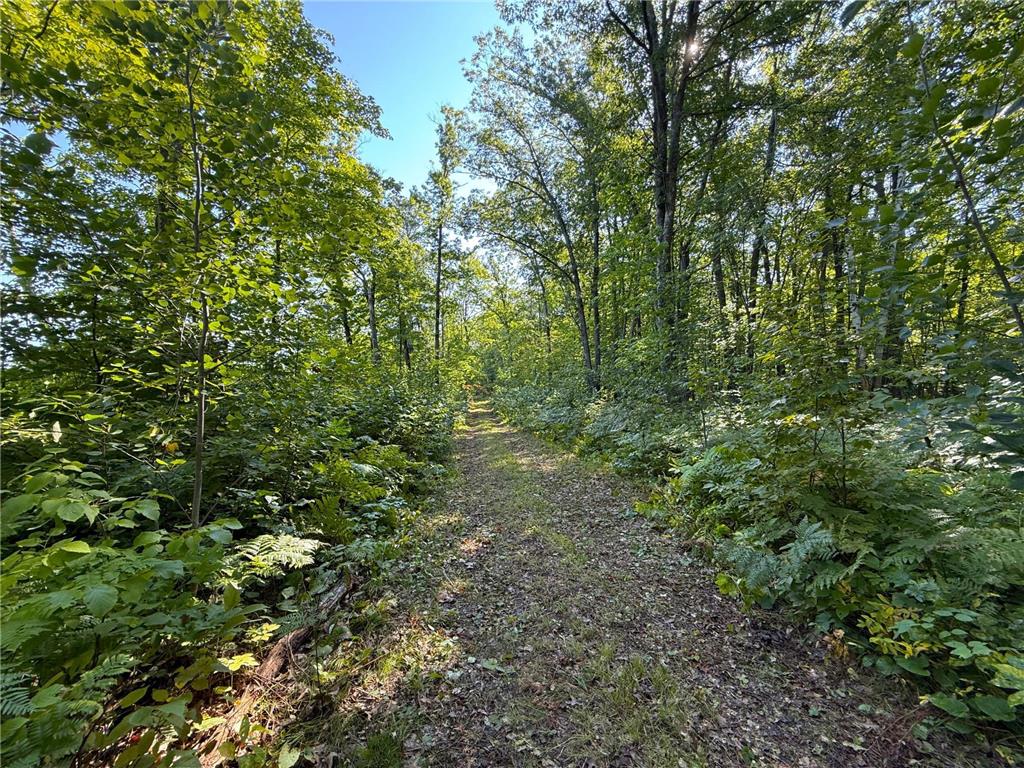 XXX 60th Ave Isle Harbor Twp MN 56386 6782977 image12