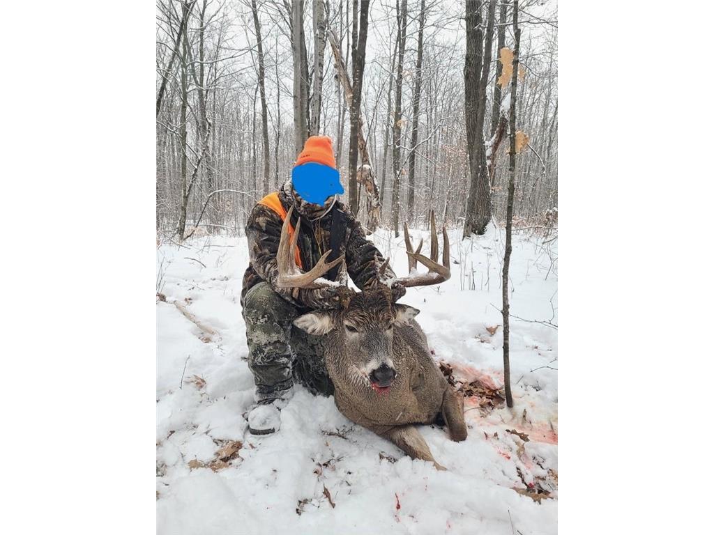 XXX 60th Ave Isle Harbor Twp MN 56386 6782977 image15